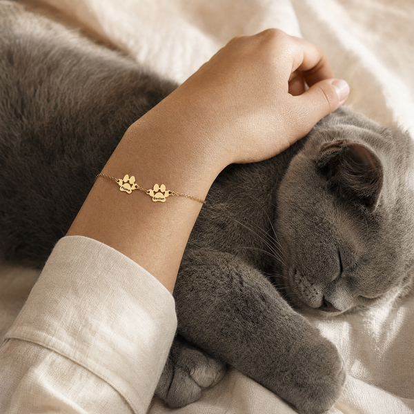 Poignet posé sur un chat gris endormi, bracelet Câline or à deux pattes