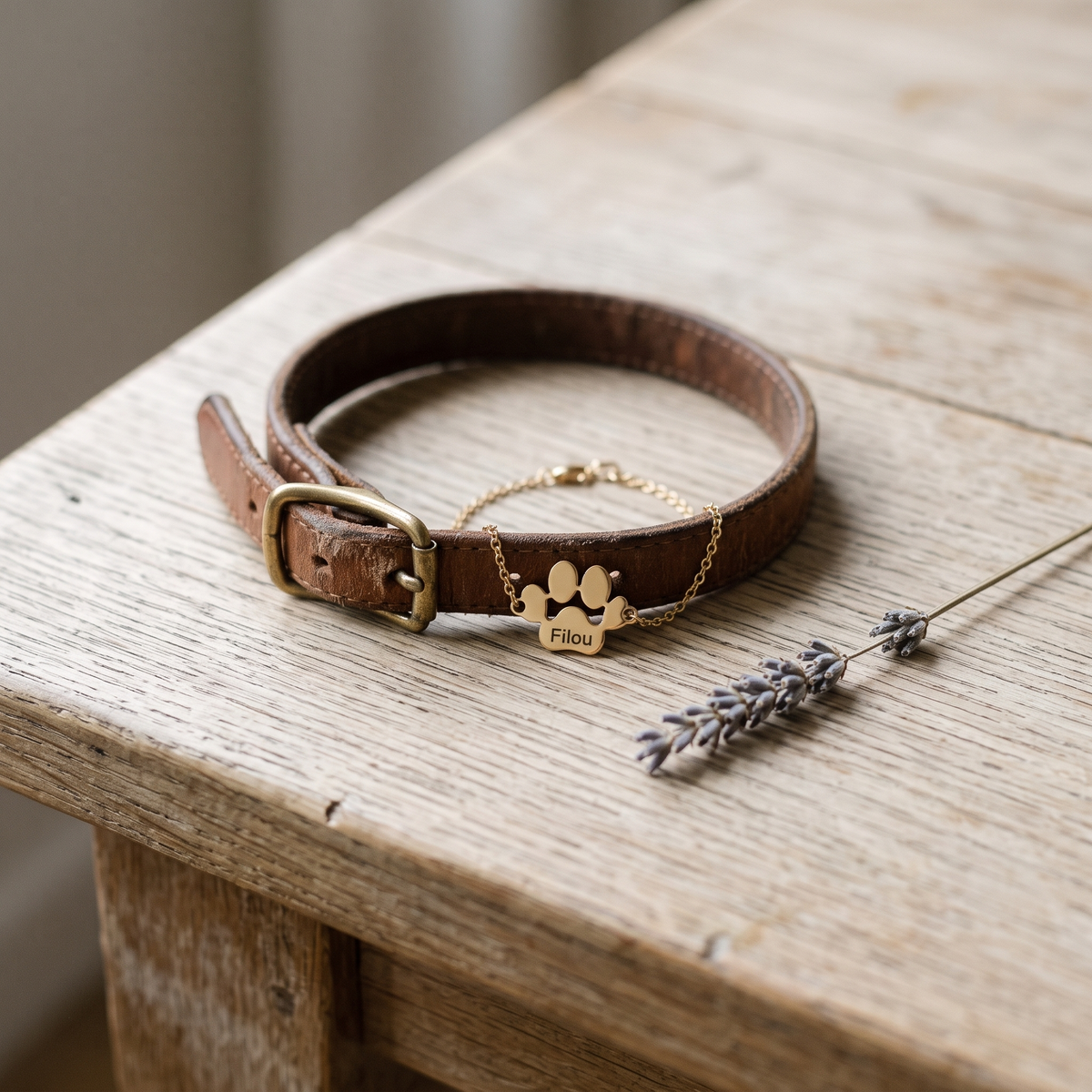 Bracelet patte gravé posé à côté du collier de son animal