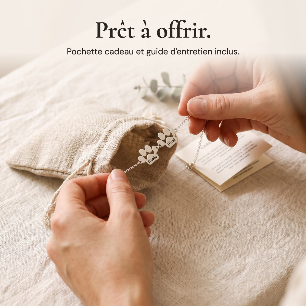 Bracelet patte argent dans sa pochette cadeau, avec guide d'entretien : prêt à offrir